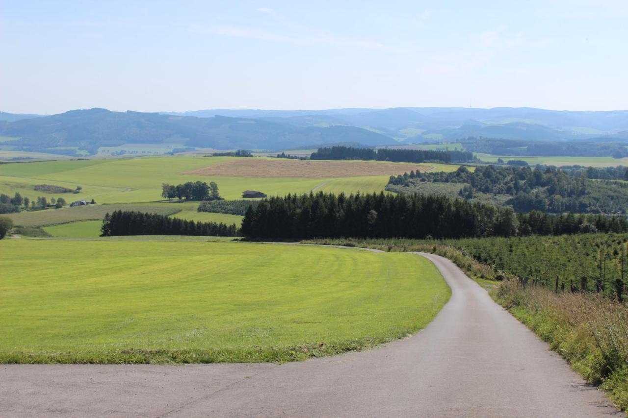Haus Bergeshoeh Hochsauerland Eslohe Bagian luar foto